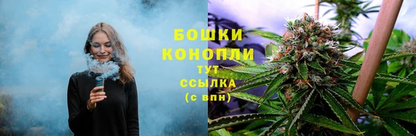 СК Аркадак