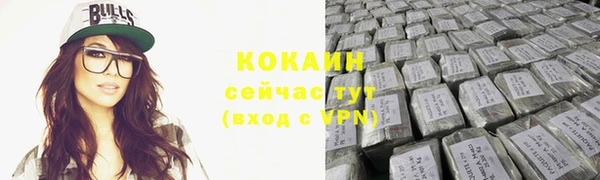 сатива Армянск