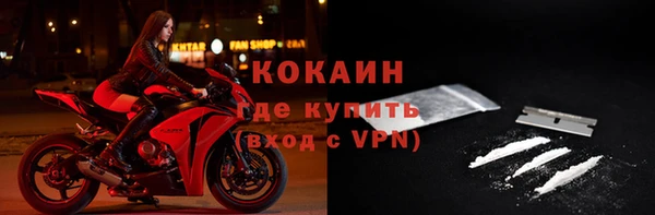 сатива Армянск
