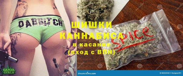 сатива Армянск