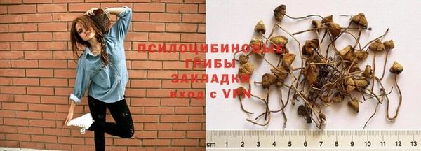COCAINE Арсеньев