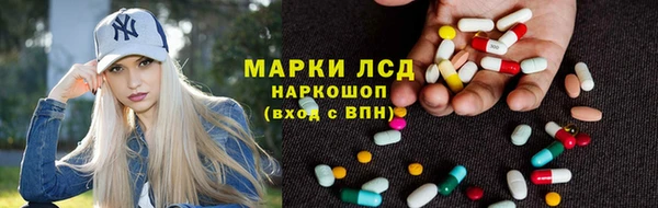 сатива Армянск