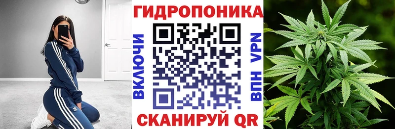 наркота  Макарьев  Конопля конопля 